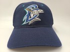 Bridgeport Bluefish Zephyr Fitted  seems 7 1 2  Hat Cap Defunct Alpb Baseball