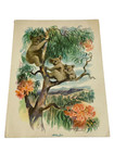 60s Ss Lurline Matson Cruise Line Dinner Menu Koala Art Watercolor Australia