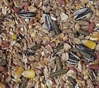 Gourmet Hamster  all Types    Mice Food Complete Diet Choose Size