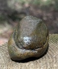 Agatized Crab Concretion - Restoration Point Private Estate - Split Carapace