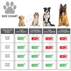 Fpn Pet Training Pads For Dogs Ultra-absorbent Unscented Blue Pee Pads 4 Sizes