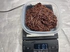 1 Lbs  Red Wiggler Composting Worms