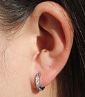 Stainless Steel Huggie Hoop Earrings For Women Men  Cz Small Hoops   316l Sur   