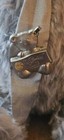 2017 Steiff Silver Gray Bear Steiff Club Edition Pin  421396