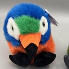 Puffkins Squawk Tropical Parrot   Petey Peacock Beanie Plush With Tags
