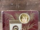 Antique Victorian Scrap Book Album