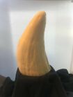  Blank Sperm Whale Replica Tooth Ready To Scrimshaw  3