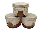 Ready To Use Sterilized Liquid Culture - Mushroom Propagation  3x200ml Jars