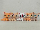5pcs lot Lps Littlest Pet Shop Cat  1643 1962oak 122 1451 228 Figure New
