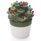 Milltown Merchants Ceramic Succulents With Lights - Christmas Tabletop Decor