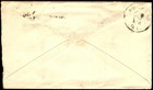Chicago 1880 Matthews Shimmin Mattress Advertising Cover W  Contents - L36004