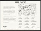 Us 4423 Kelp Forest Stamp Sheet 10 Nature America 11th In Series Rockfish Otter