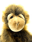 Ty Classic Baby Monkey Chimpanzee Realistic Plush Cha Cha Stuffed 10in 1998 Y2k