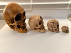 4 Ea  Randotti Original Skulls      Large  Voo Doo  Pixie   Small Round Head