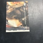 B20 Xena Warrior Princess Art   Images 2004  26 Lucy Lawless Friends Forever