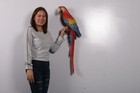 Colorful Scarlet Macaw Parrot Wall Decor Life Size Resin Statue Bird Display