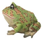 Amphibian Wildlife Realistic Green Bullfrog Frog In Stoic Posture Figurine 7 l