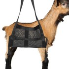 Reusable Animal Weigh Hammock Pet Weigh Sling Puppy Weigh Sling Small Animal