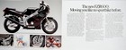 Yamaha 1986 Performance   Fzr  Brochure - Fzr1000  Fzr600  Fzr400 
