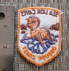 Vintage Sea Lion Caves Oregon Coast Patch Voyager Travel Souvenir
