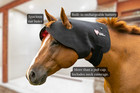 Happy Hat Red Light Poll Cap For Horses With Infrared  Northeast Equiwellness