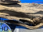 Natural Organic Fish Aquarium Driftwood Aquatic Tank Wood Aquascaping Presoaked