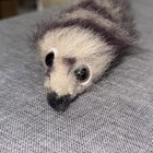 Vintage Dy Toy Weasel Plush Stuffed Animal 1995 9 5    Dah Yang