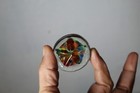 Vibrant Small Glass Paperweight Sand Dollar Colorful Dainty Art Glass 1 5 