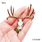 Mule Deer Skull 1 12 Scale Artisan Diorama Dollhouse Miniature Models 3d Printed