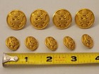 Lot Of 9 Wwii Era U s  Army Uniform Gold Tone Metal Buttons  Waterbury Button Co