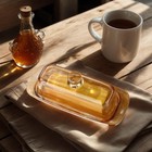 Champagne Vintage Glass Butter Dish With Lid For Countertop  Glass Butter Dish W