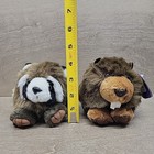 Lot Of 2 Puffkins Plushes Plush Chomper Beaver Bandit Raccoon Stuffed Animals