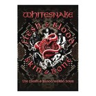 Whitesnake Flesh   Blood  World Tour Book New  David Coverdale Tommy Aldridge