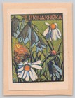 Ex Libris Anna Mackova 1930 Color Floral Butterfly Bookplate 3x4 