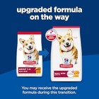 Hill s Science Diet Adult Small Bites Dry Dog Food  Chicken   Barley  5 Lb