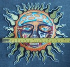 Large Sublime Ska Rock Band Licensed Battle Jacket Back Patch   Sublime Sun