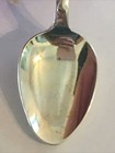 World Famous San Diego Zoo Vintage Souvenir Spoon Collectible