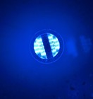 Lumitec Seablaze X2 Led Underwater Light - Dual Color - White blue 101516