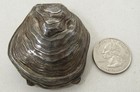 Vintage Realistic Detailed Oxidized Silver Oyster Shell Trinket Pill Hinged Box