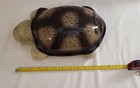 Cloud B Light Up Twilight Turtle Stars Night Light - Makes Colored Stars- Works 