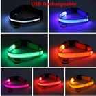 Usb Rechargeable Led Dog Pet Light Up Safety Collar Night Glow Bright Adjustable