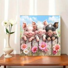 Pig Flower Diamond Art Kits For Adults 5d Painting For Yp005 