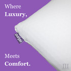 Purple Harmony Pillow - The Greatest Ever - Standard Size  Low   Medium   Tall