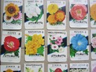 Lot Of 28 Old Vintage 1950 s - Flower Seed Packets - Lone Star - Empty