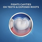Crest Cavity Protection Toothpaste Regular Paste - 8 2 Ounce  pack Of 4 