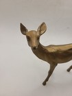 Christmas Hard Plastic Gold Deer Figurine   Mcm  Vintage  Euc
