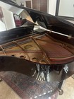 Yamaha Gb1 Baby Grand Piano 88 Keys 3 Pedals Polished Ebony Finish Wood Black