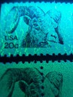 Us Efo Error Stamps   1949 Bighorn Sheep  Misperf   Tag Freak Type I Pairs  Mnh
