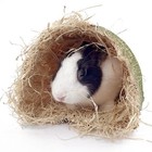 Rabbit Tunnel Pet Interactive Toy Hideout Play Toy For Hamster Hedgehog Rat S