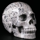 Huge 5 0  Picasso Jasper Carved Crystal Skull  Realistic  Crystal Healing